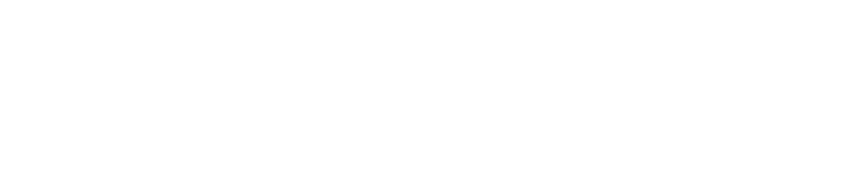 SHENBERG Auction Logo